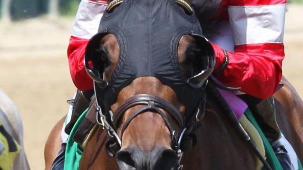 McCormick  America's Best Racing